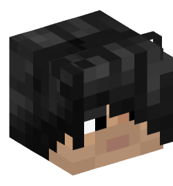 Minecraft head — People