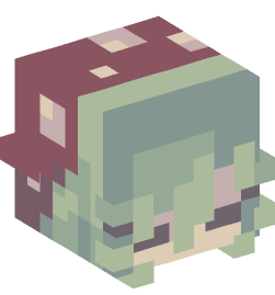 Minecraft head — People