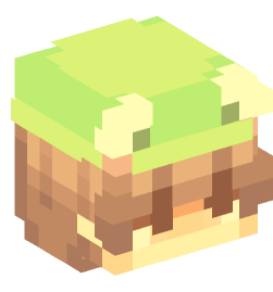 Minecraft head — People