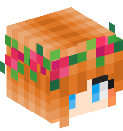 Minecraft head — People