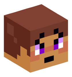 Minecraft head — Miscellaneous