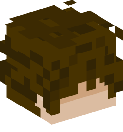 Minecraft head — People