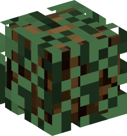 Minecraft head — Blocks