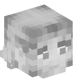 Minecraft head — Decor