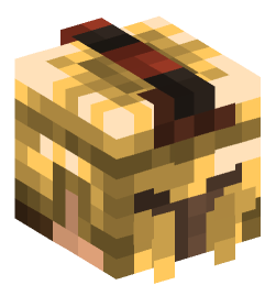 Minecraft head — People