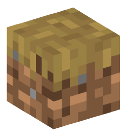 Minecraft head — Blocks