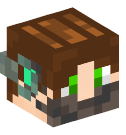 Minecraft head — People