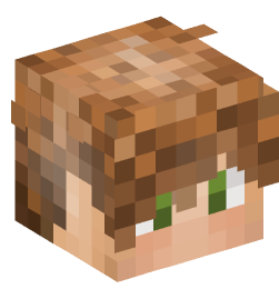 Minecraft head — People