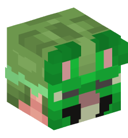 Minecraft head — People