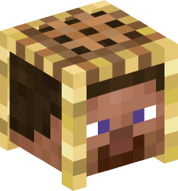 Minecraft head — People