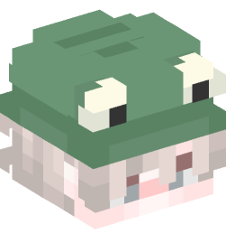 Minecraft head — People