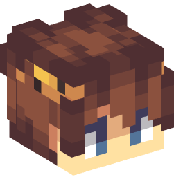 Minecraft head — People