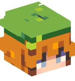 Minecraft head — People