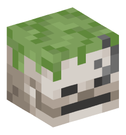 Minecraft head — Creatures