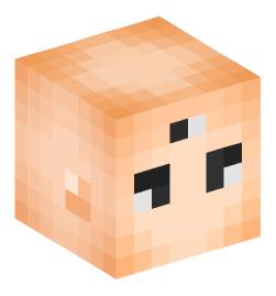 Minecraft head — People