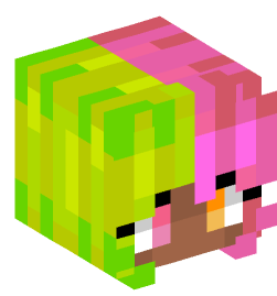 Minecraft head — People