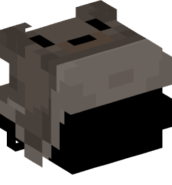 Minecraft head — Decor