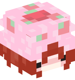 Minecraft head — People