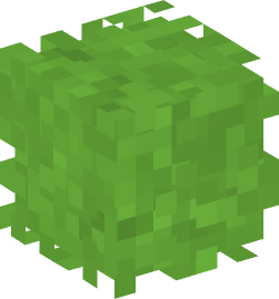 Minecraft head — Plants