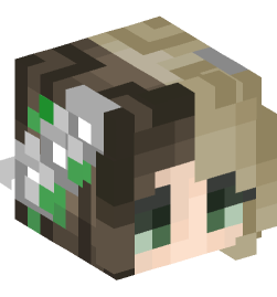 Minecraft head — People