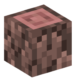 Minecraft head — Blocks