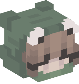 Minecraft head — People