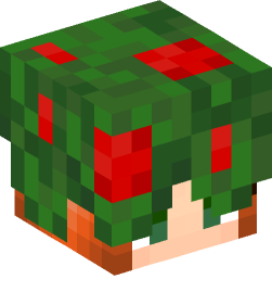 Minecraft head — People