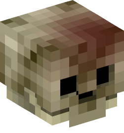 Minecraft head — Decor