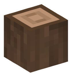 Minecraft head — Blocks