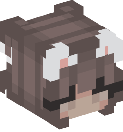 Minecraft head — People