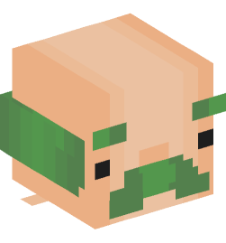 Minecraft head — People