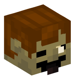 Minecraft head — People