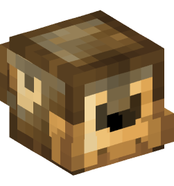 Minecraft head — Decor