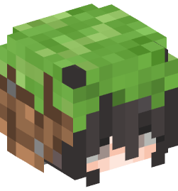 Minecraft head — People