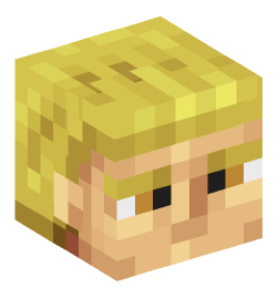 Minecraft head — People