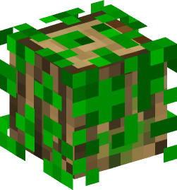 Minecraft head — Blocks