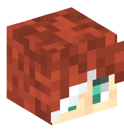 Minecraft head — People