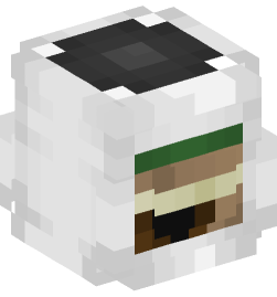 Minecraft head — Decor