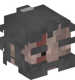 Minecraft head — People