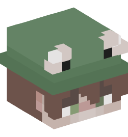 Minecraft head — People