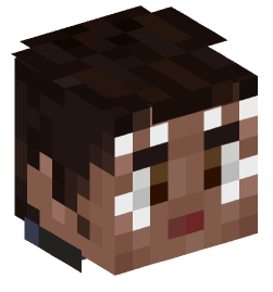 Minecraft head — People