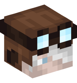 Minecraft head — People