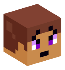 Minecraft head — Miscellaneous