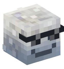 Minecraft head — Miscellaneous