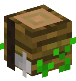 Minecraft head — Decor