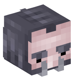 Minecraft head — People