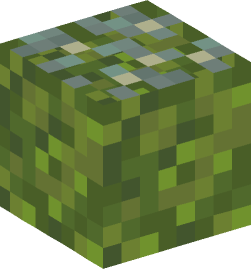 Minecraft head — Blocks