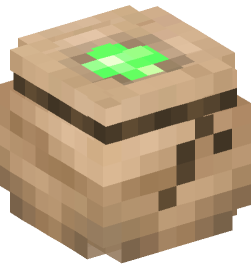 Minecraft head — Decor