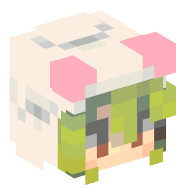 Minecraft head — People