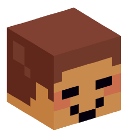 Minecraft head — Miscellaneous